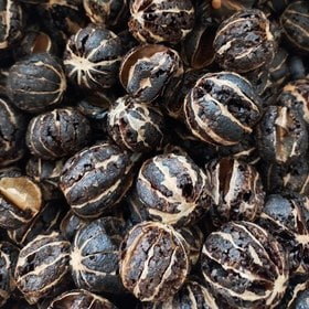 تصویر 1 از لیمو خشک ببری مناسب دمنوش و چای